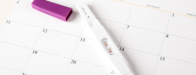 임신테스트기 검사 이미지